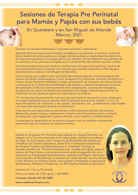 folletoINFORMATIVO flyer_v22